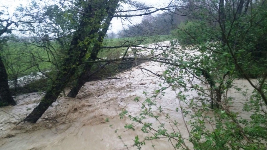 Allarme maltempo in tutte le Marche