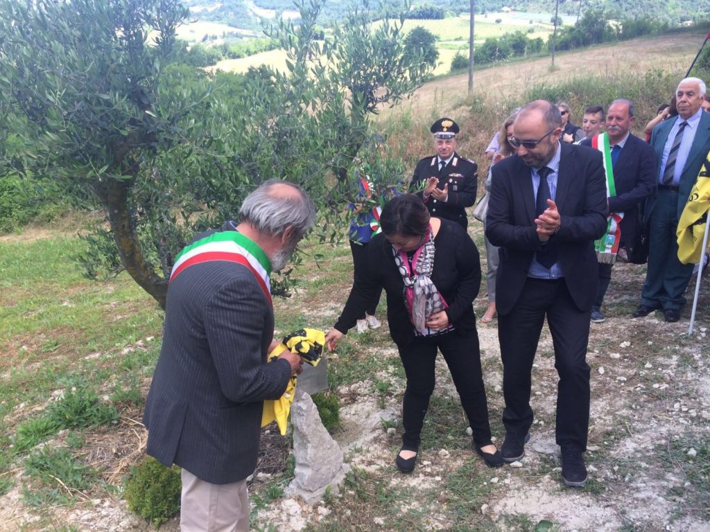 Gli antichi ulivi come custodi della memoria