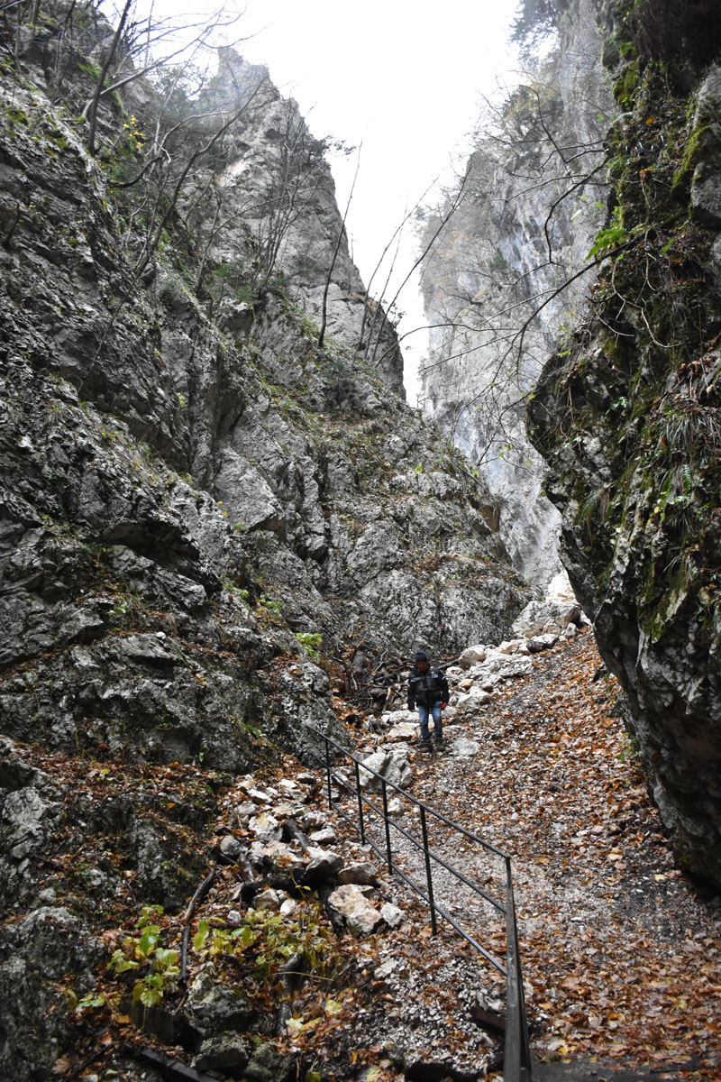 La montagna torna a vivere, inaugurato il recuperato percorso delle Gole dell'Infernaccio