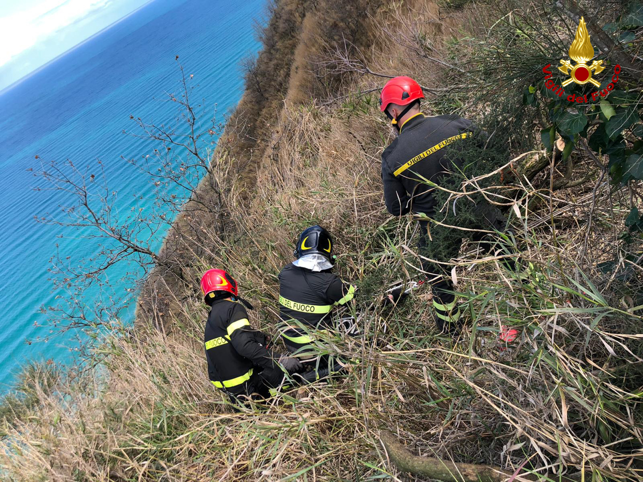 PESARO recupero cane monte san bartolo2022-04-03 (3)