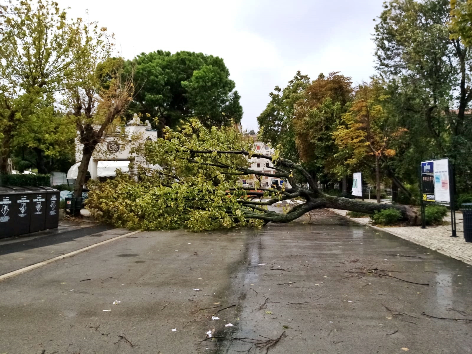 ANCONA emergenza maltempo vento2022-09-18 (1)