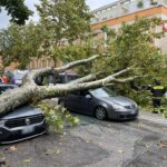 JESI alberi caduti su auto2022-09-17 (1)