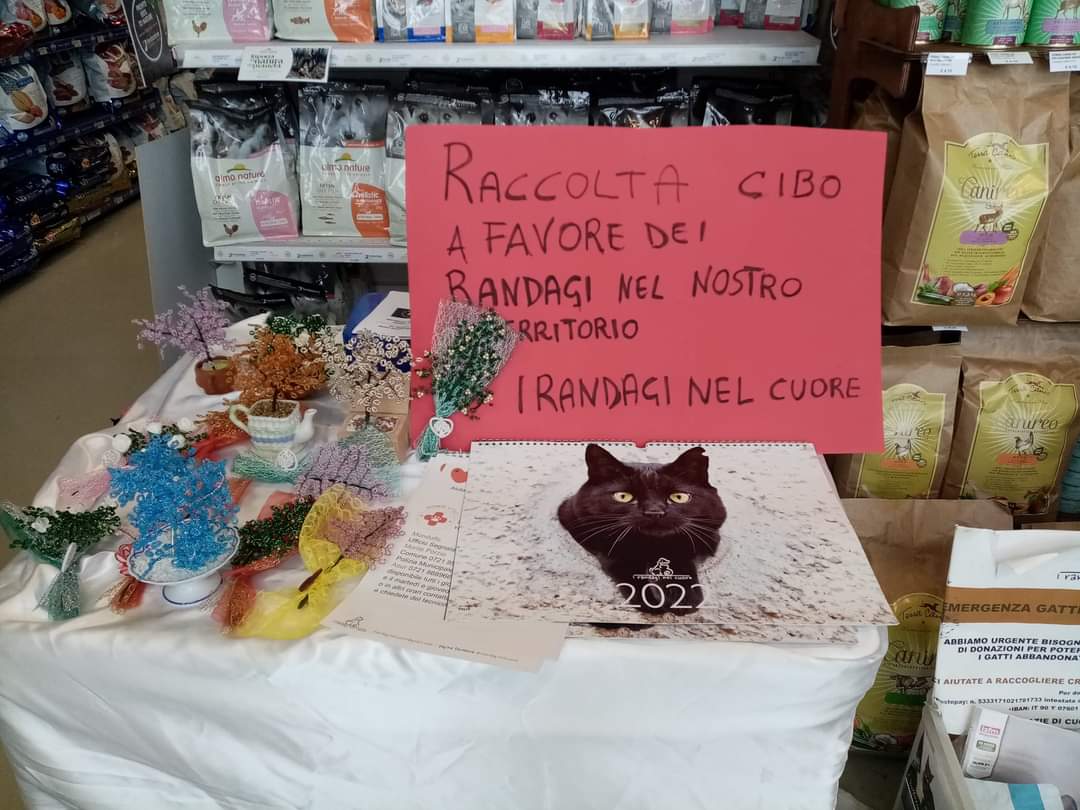 Un banchetto di I randagi nel cuore (002)