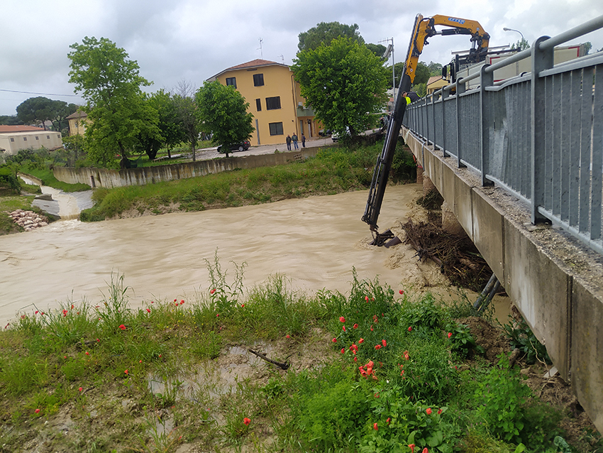 OSTRA tentativo togliere piante e rami sotto poste pianello2023-05-16lo (1)