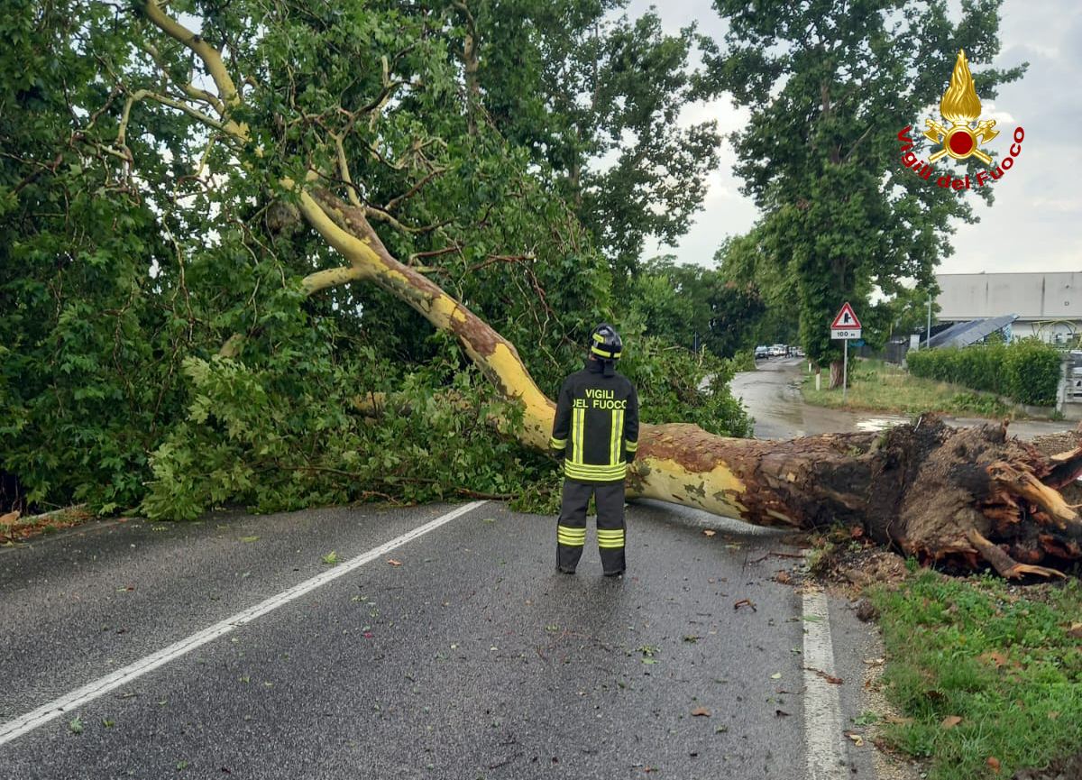 albero abbattuto maltempo2023-07-06