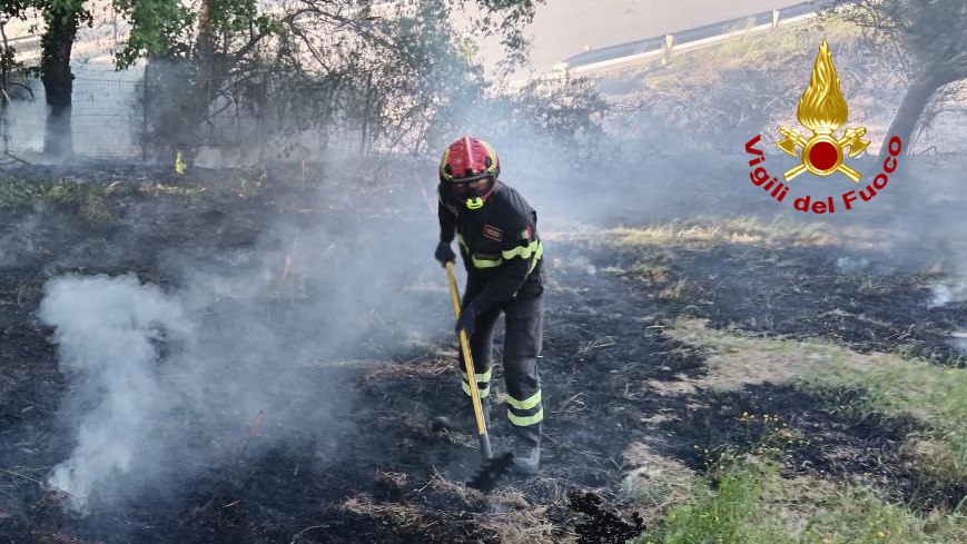 TOLENTINO incendio sterpaglie2024-04-16 (1)