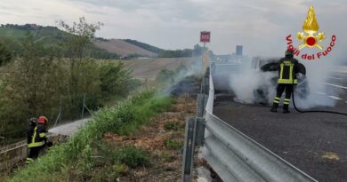 Auto e sterpaglie in fiamme lungo l’autostrada a Chiaravalle / VIDEO